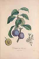  no thumbnail available