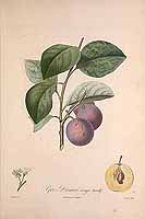  no thumbnail available