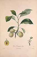  no thumbnail available