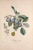  no thumbnail available