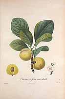  no thumbnail available