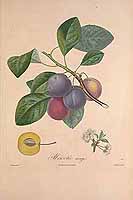  no thumbnail available