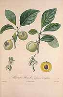  no thumbnail available