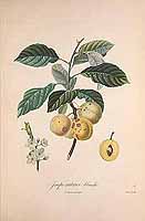  no thumbnail available