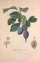  no thumbnail available