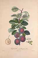  no thumbnail available