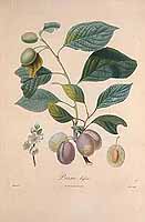  no thumbnail available