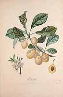  no thumbnail available