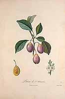  no thumbnail available