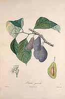  no thumbnail available