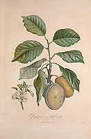  no thumbnail available