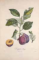  no thumbnail available