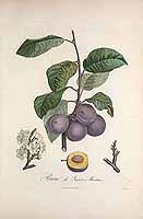  no thumbnail available