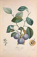  no thumbnail available