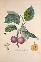  no thumbnail available