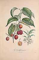  no thumbnail available