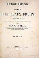  no thumbnail available