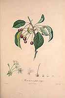  no thumbnail available