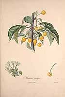  no thumbnail available