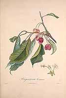  no thumbnail available