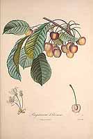  no thumbnail available