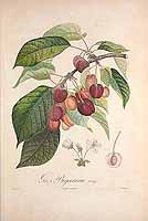  no thumbnail available