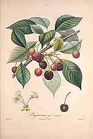  no thumbnail available