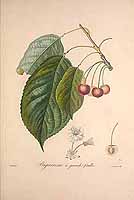  no thumbnail available