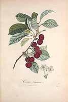  no thumbnail available