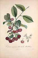  no thumbnail available