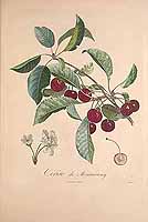  no thumbnail available