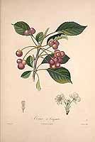  no thumbnail available