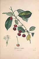  no thumbnail available