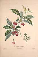  no thumbnail available