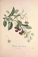  no thumbnail available