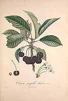  no thumbnail available