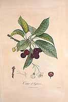  no thumbnail available