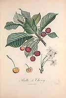  no thumbnail available