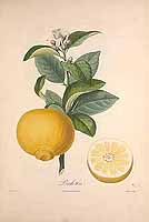  no thumbnail available