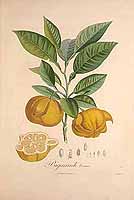  no thumbnail available