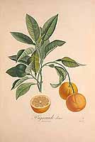  no thumbnail available