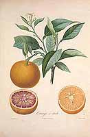  no thumbnail available