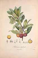  no thumbnail available