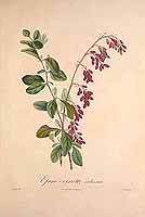  no thumbnail available