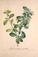  no thumbnail available