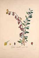  no thumbnail available