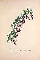  no thumbnail available