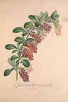  no thumbnail available