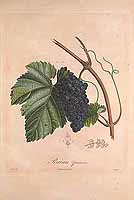  no thumbnail available