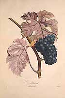  no thumbnail available